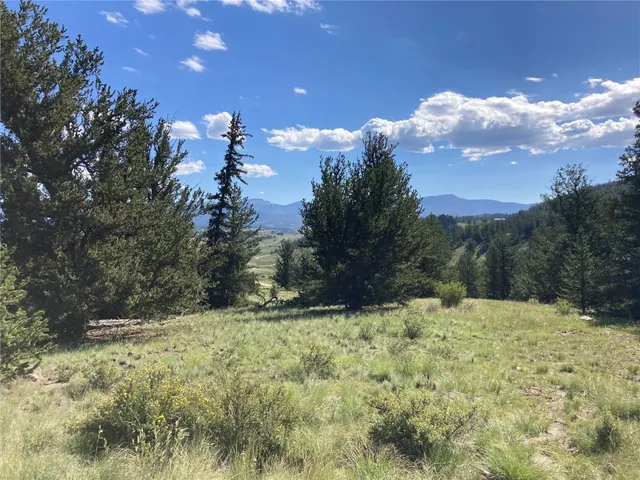 a view of a yard with a large tree