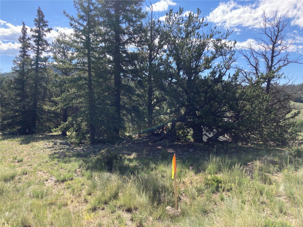 99 Hackney Lane Como, CO 80456 - Photo 45 of 49 a view of lake with green space