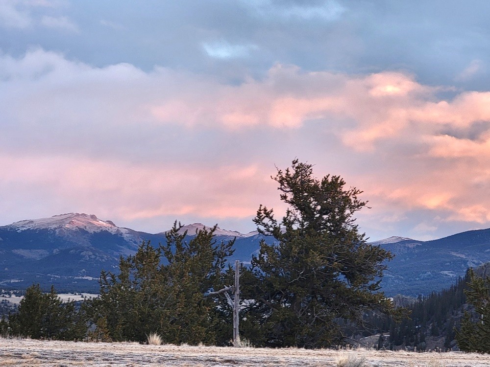 99 Hackney Lane Como, CO 80456 - Photo 47 of 49