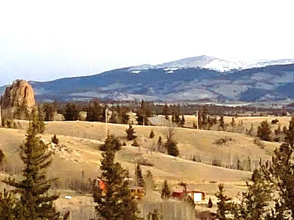 a view of a yard