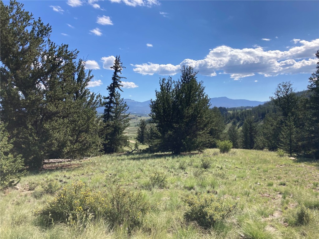 99 Hackney Lane Como, CO 80456 - Photo 7 of 49 a view of a yard with a tree