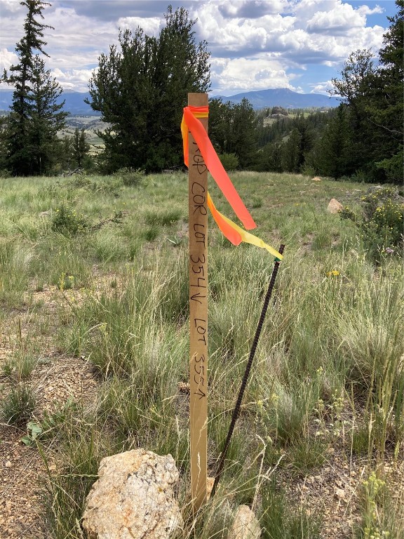 99 Hackney Lane Como, CO 80456 - Photo 8 of 49 a view of a yard with a large tree