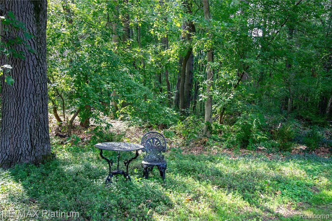 12214 Foley Road Fenton, MI 48430 - Photo 40 of 40 wooded prop.jpg