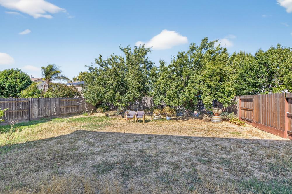 5817 Spring Flower Drive Elk Grove, CA 95757 - Photo 50 of 62 a view of a backyard with large tree and wooden fence