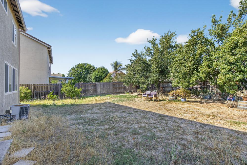 5817 Spring Flower Drive Elk Grove, CA 95757 - Photo 51 of 62 a view of a backyard with plants and trees
