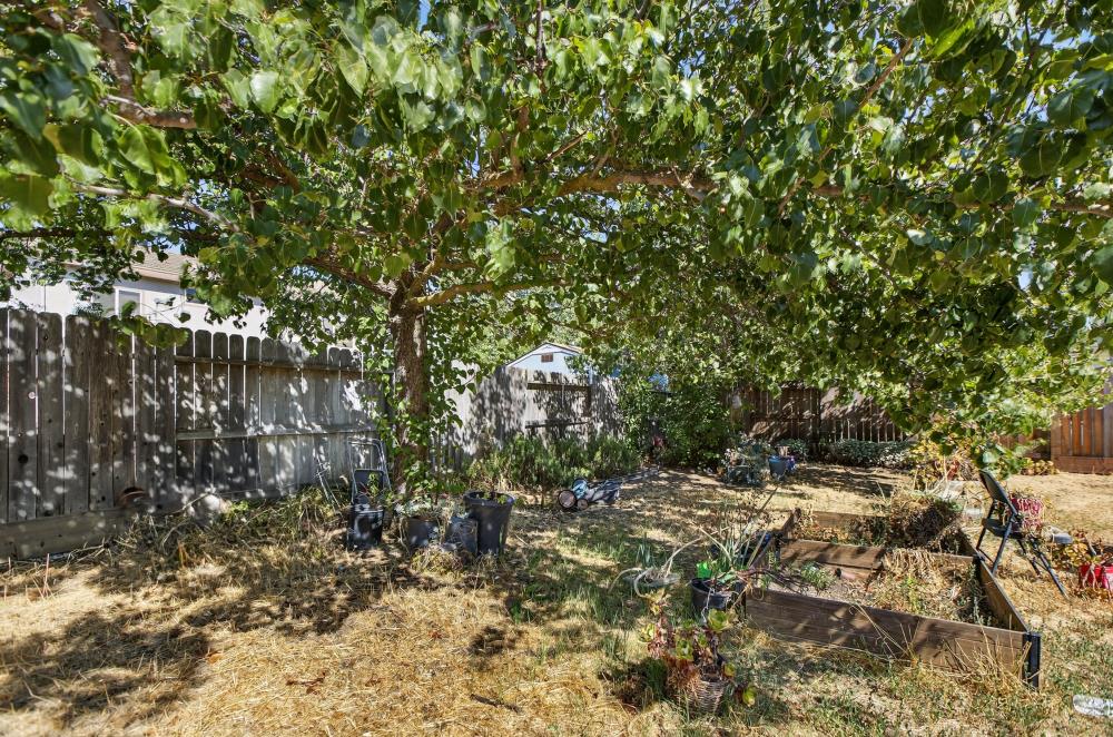 5817 Spring Flower Drive Elk Grove, CA 95757 - Photo 53 of 62