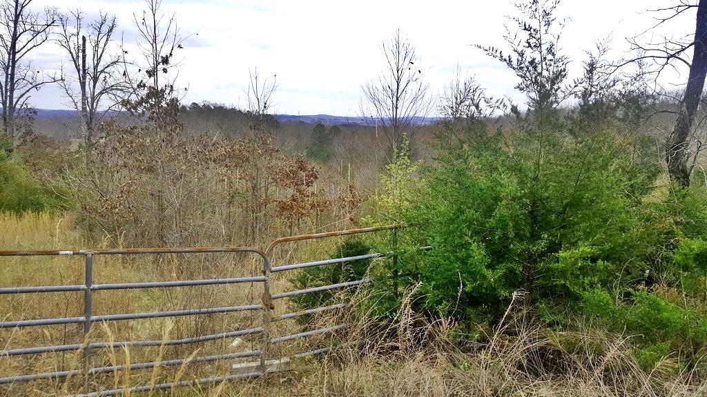 Son Moore Lane Decatur, TN 37322 - Photo 2 of 8 20180307_142952