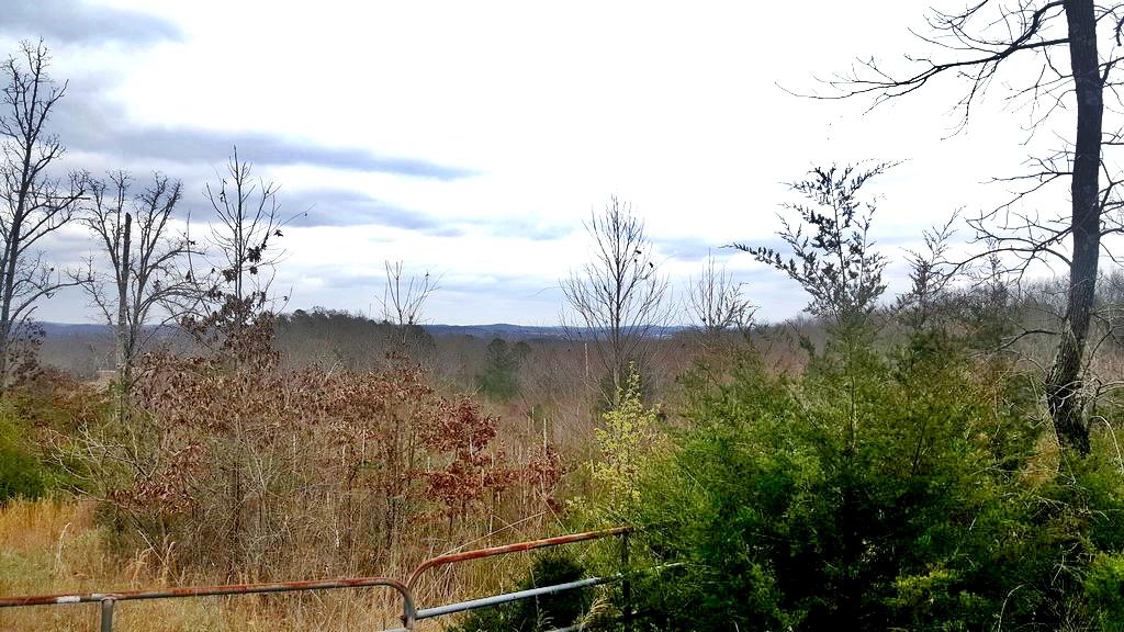Son Moore Lane Decatur, TN 37322 - Photo 3 of 8 20180307_142959