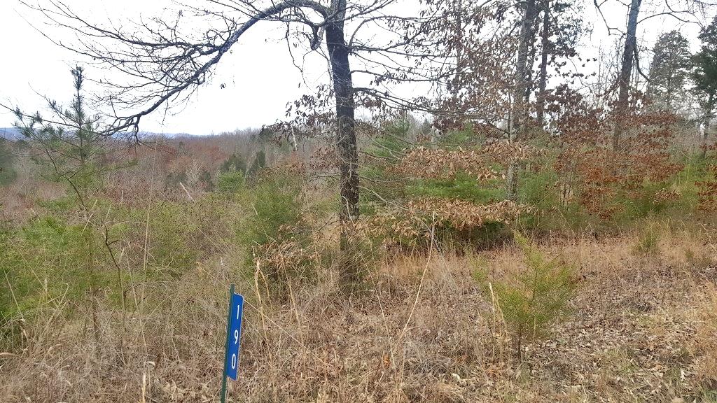 Son Moore Lane Decatur, TN 37322 - Photo 4 of 8 20180307_143047