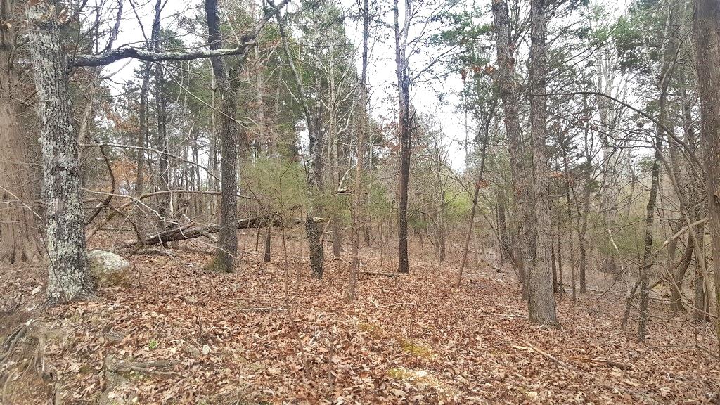 Son Moore Lane Decatur, TN 37322 - Photo 8 of 8 20180307_145318