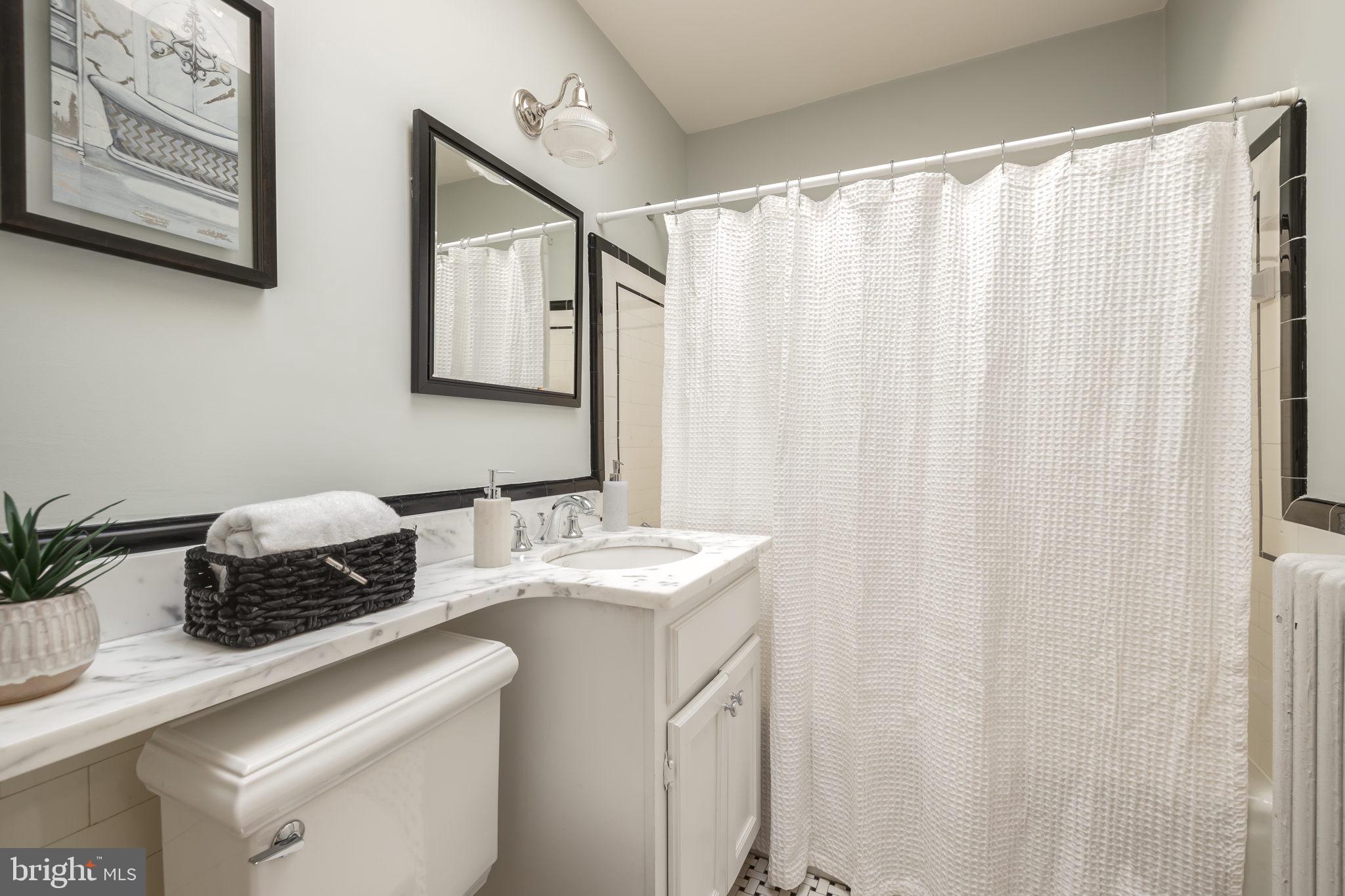 1919 38th Street Northwest Washington, DC 20007 - Photo 20 of 43 Hall bath with skylight