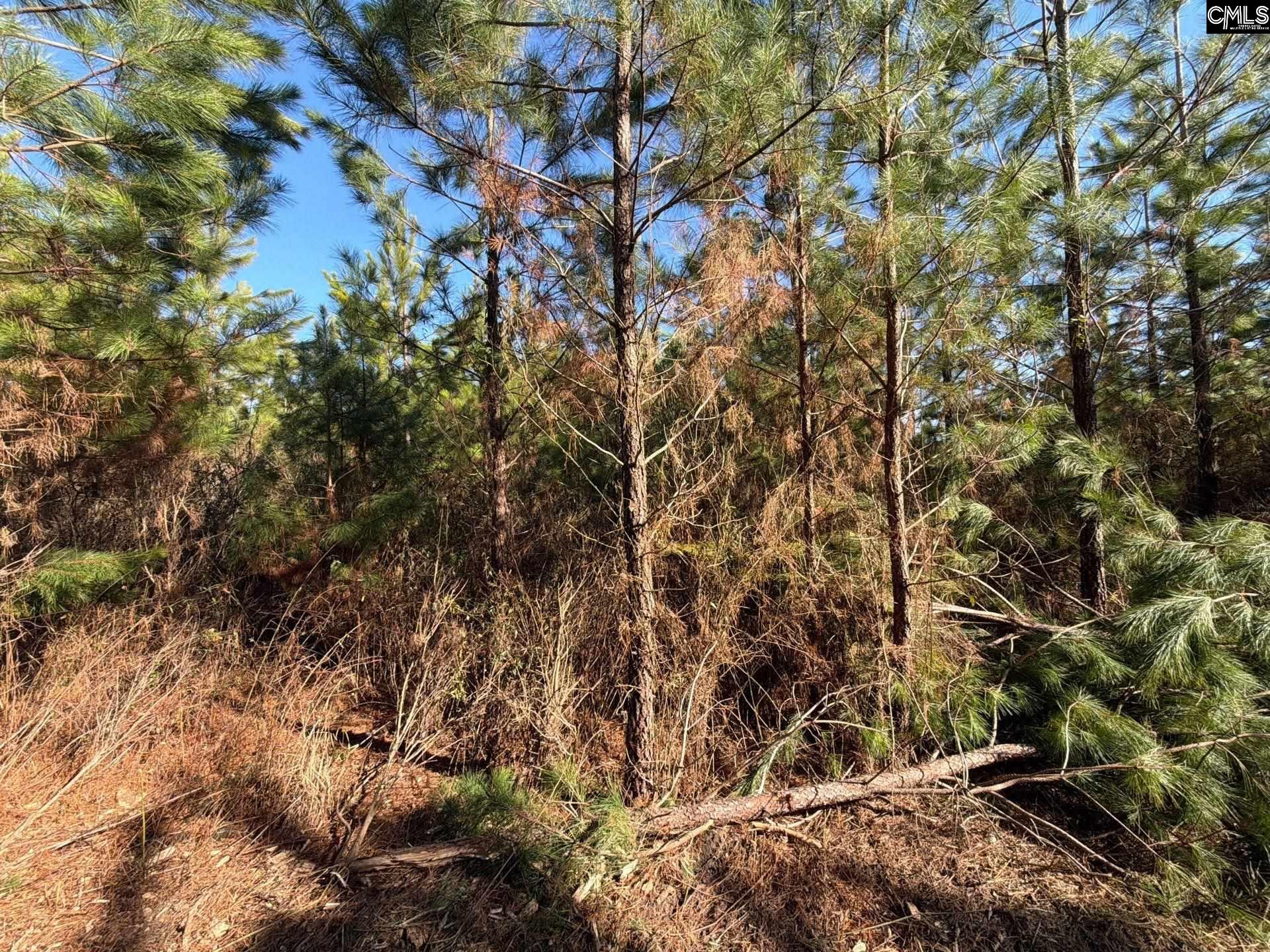 8 Brunson Teal Road, Unit BFF II 8 Patrick, SC 29584 - Photo 5 of 25