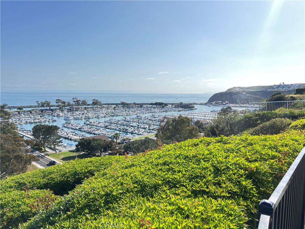 25091 La Cresta Drive, Unit B Dana Point, CA 92629 - Photo 23 of 30 a view of a lake view
