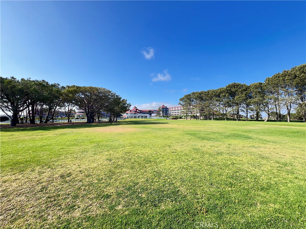 25091 La Cresta Drive, Unit B Dana Point, CA 92629 - Photo 27 of 30 a view of a field with an trees