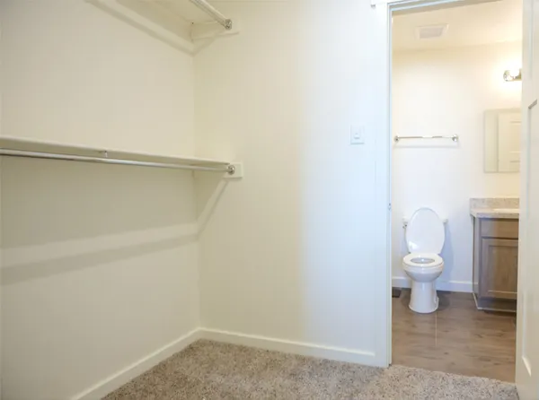 a white toilet sitting next to a shower