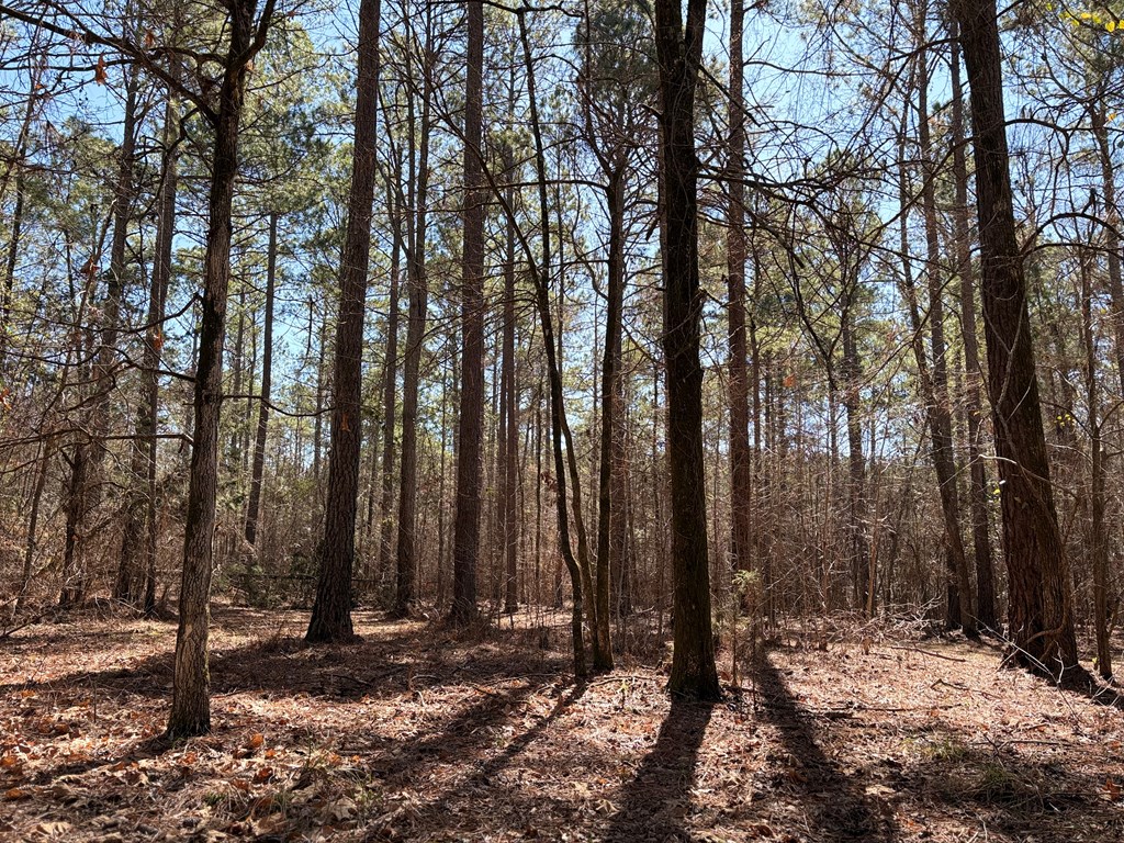0 Upper Mill Road McCormick, SC 29835 - Photo 4 of 18 Gallery Image 4