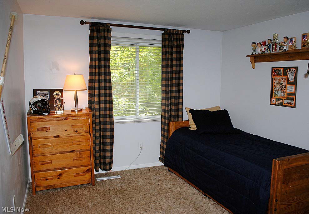 37454 Hunters Ridge Solon, OH 44139 - Photo 18 of 24 Gallery Image 18