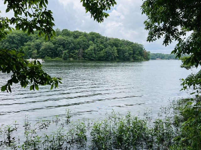 Lot 147 Parrish Ridge Goreville, IL 62939 - Photo 6 of 20