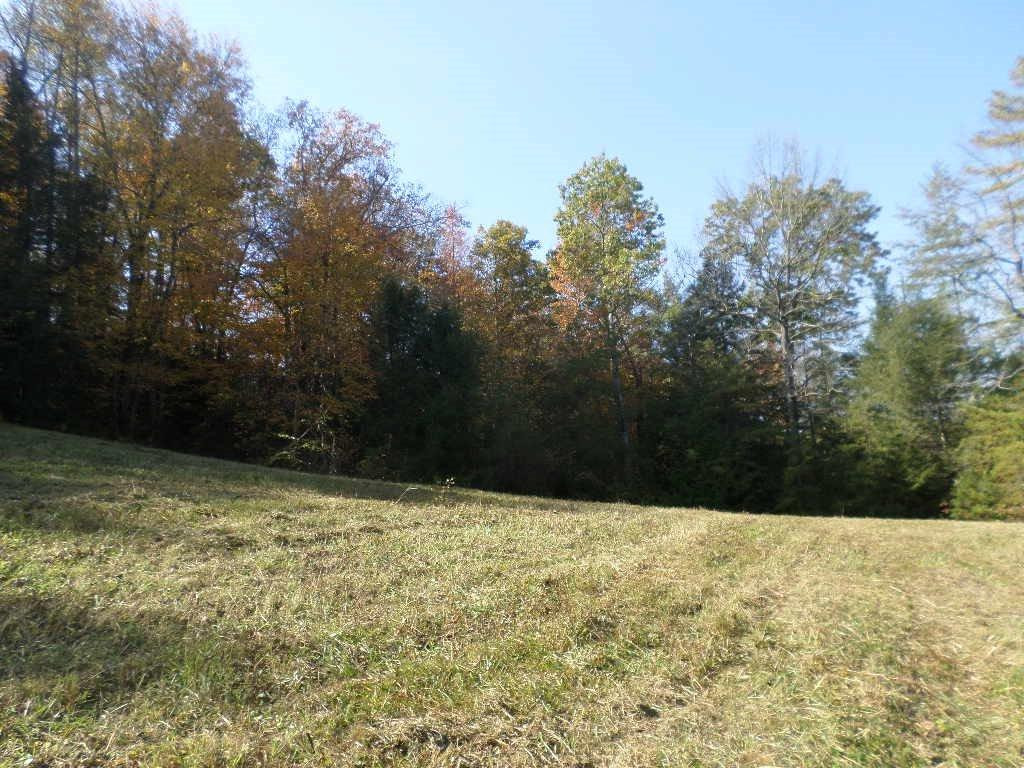 1414 Heizer Hill Road Wellington, KY 40387 - Photo 33 of 46 Photo 33
