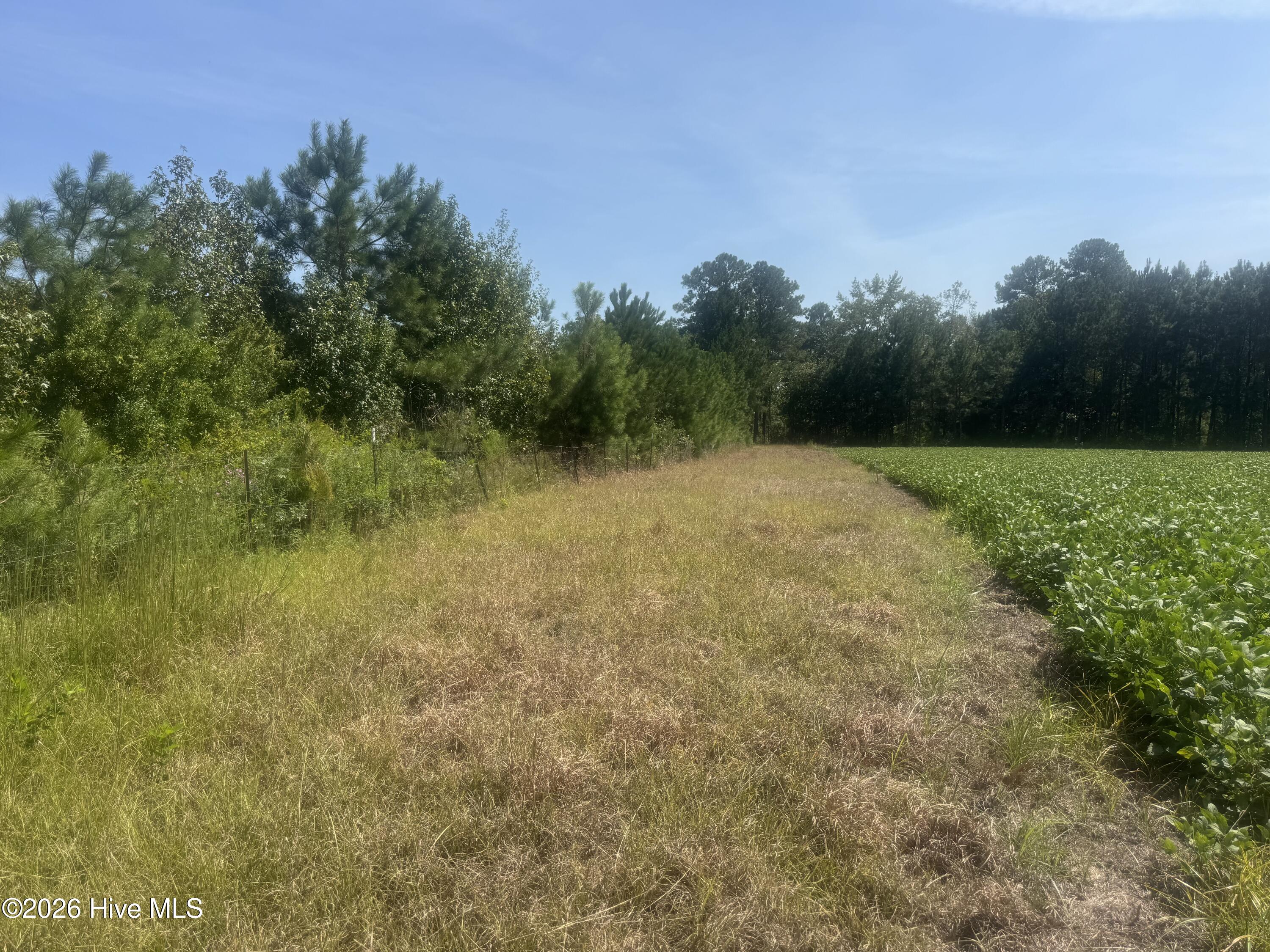 0 Bud Stephens Road Evergreen, NC 28438 - Photo 2 of 12 Gallery Image 2