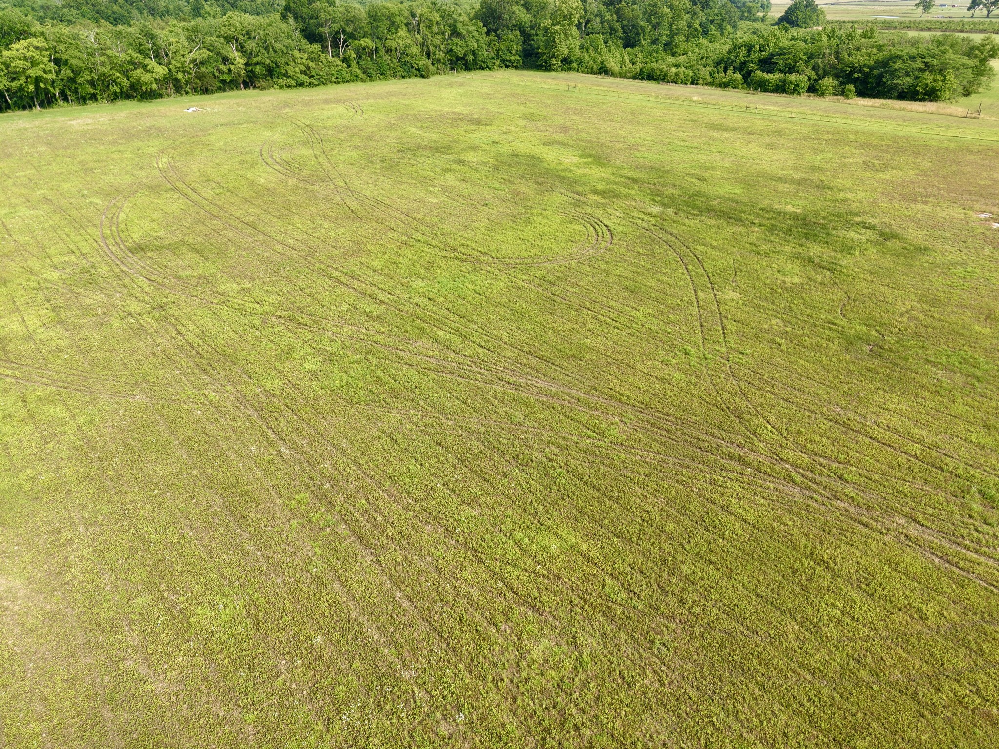 0 Putnam Well Road Bell Buckle, TN 37020 - Photo 4 of 13
