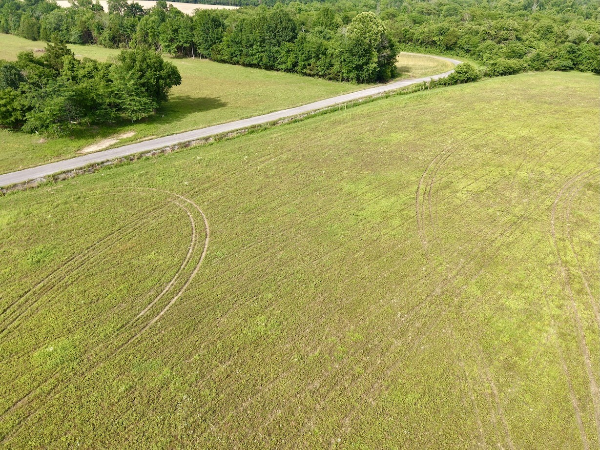 0 Putnam Well Road Bell Buckle, TN 37020 - Photo 5 of 13
