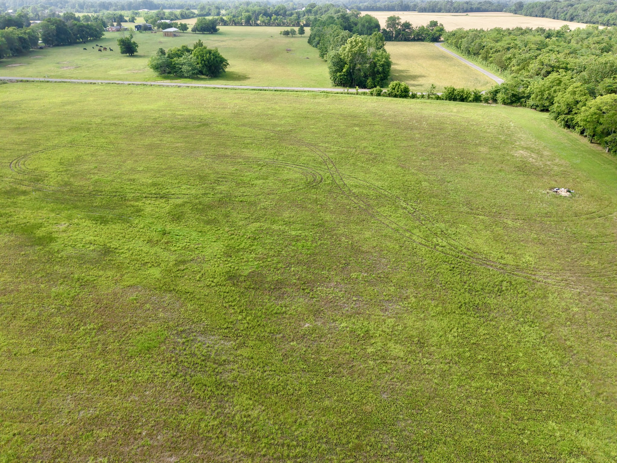 0 Putnam Well Road Bell Buckle, TN 37020 - Photo 6 of 13