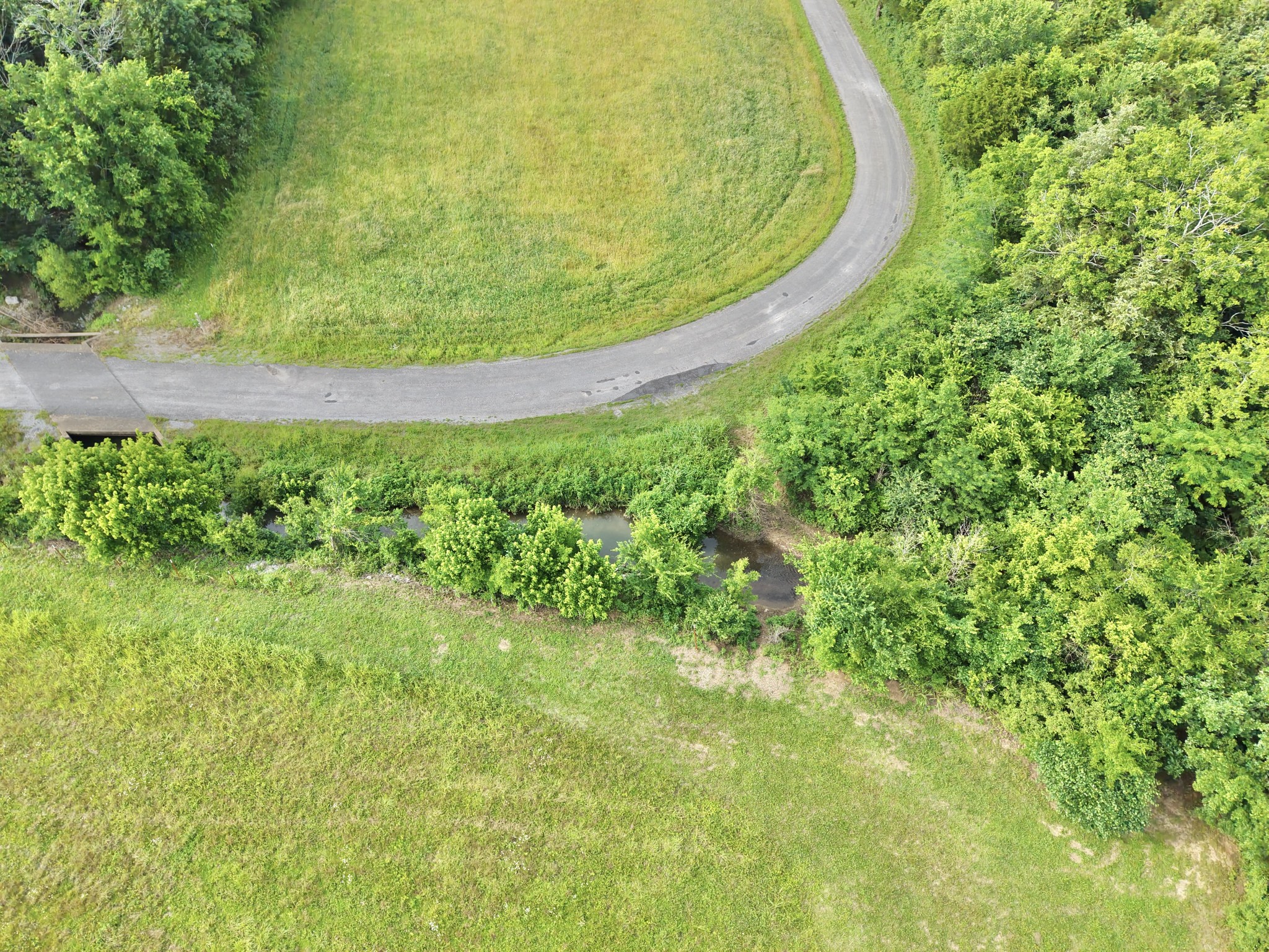 0 Putnam Well Road Bell Buckle, TN 37020 - Photo 10 of 13