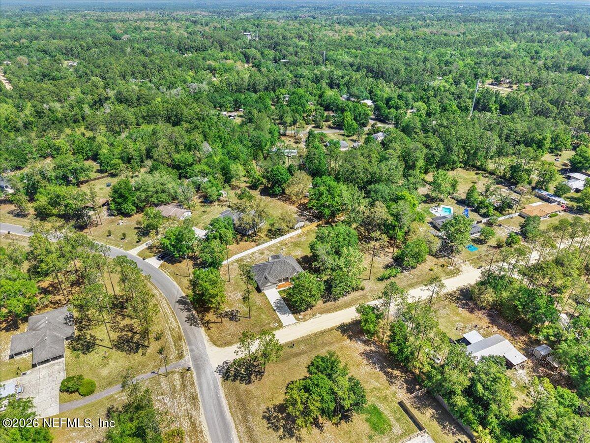 2462 Viola Street Middleburg, FL 32068 - Photo 47 of 61 a view of a forest with a tree