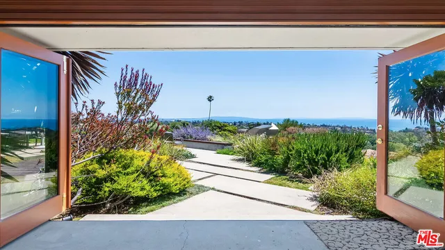 a view of a potted plant with sign of a window