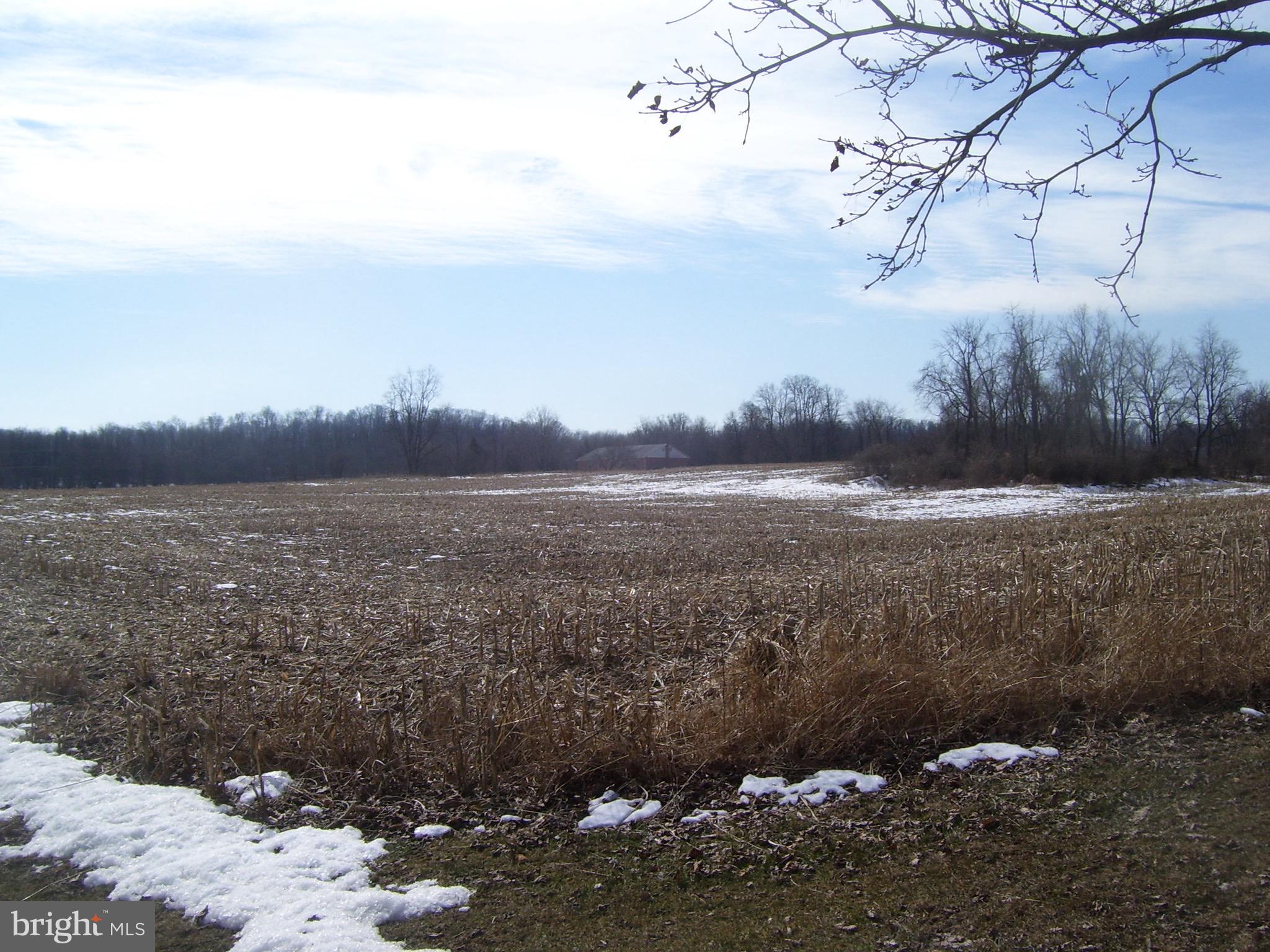 11-acres 11-acres Springfield Road Newville, PA 17241 - Photo 1 of 5 Gallery Image 1