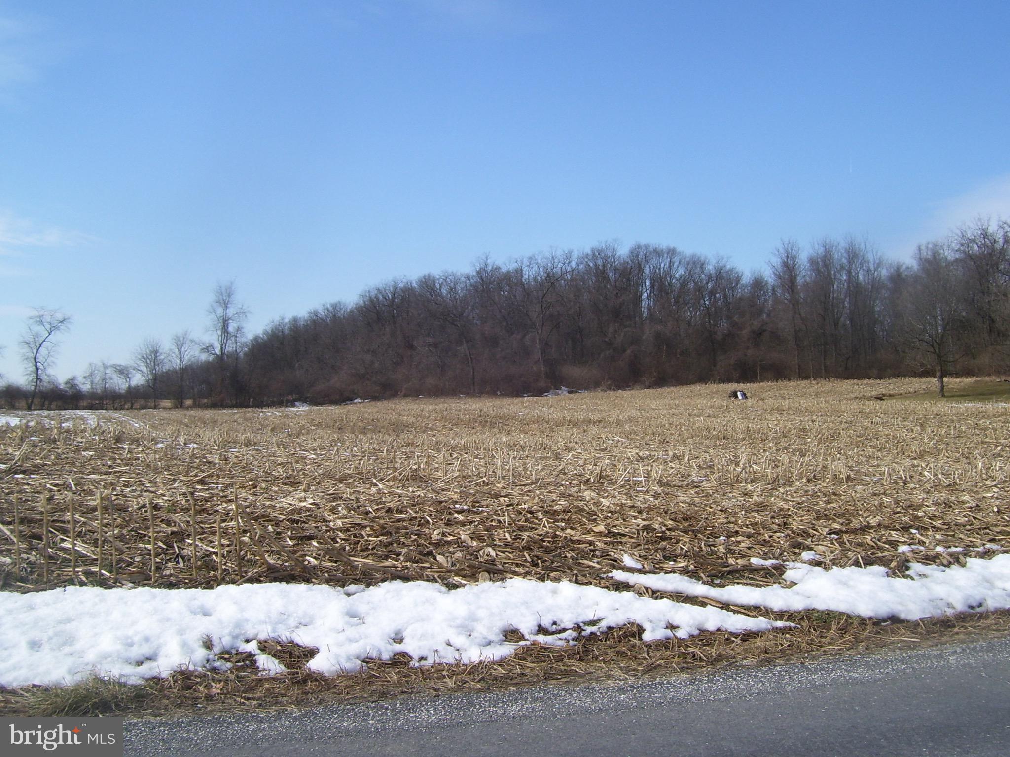 11-acres 11-acres Springfield Road Newville, PA 17241 - Photo 2 of 5 Gallery Image 2