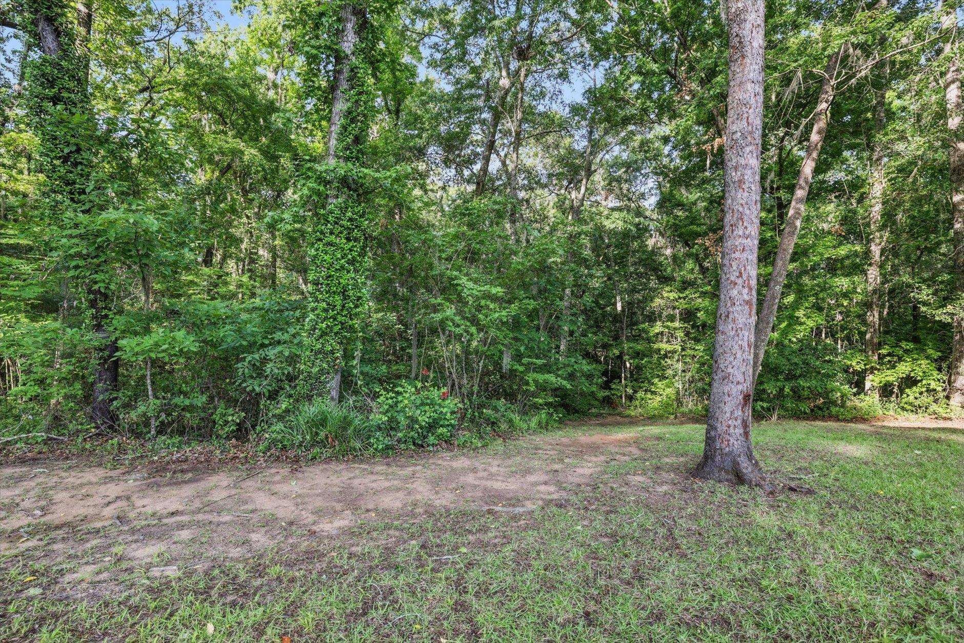 7684 Preservation Road Tallahassee, FL 32312 - Photo 67 of 70 Gallery Image 67