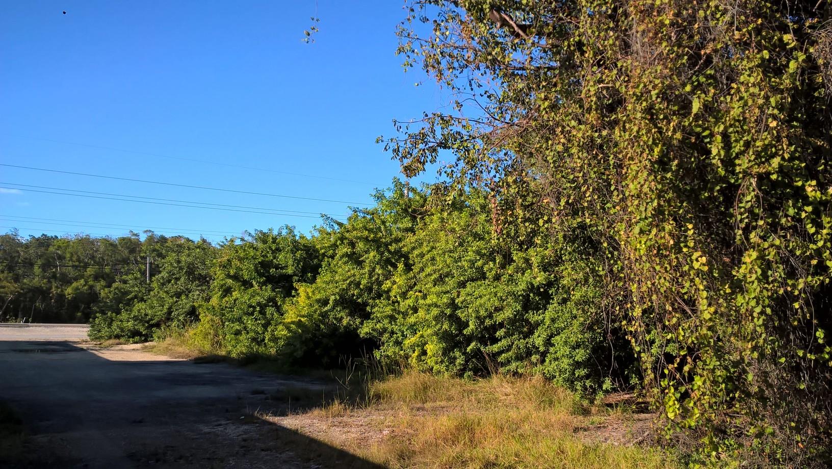98 Overseas Hwy Key Key Largo, FL 33037 - Photo 2 of 6 a view of a yard