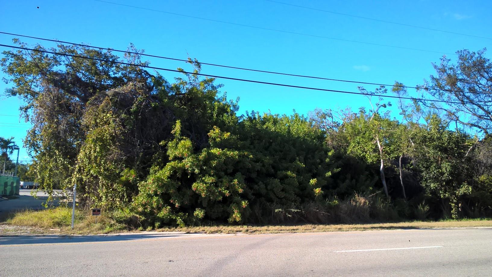 98 Overseas Hwy Key Key Largo, FL 33037 - Photo 4 of 6 a view of a yard