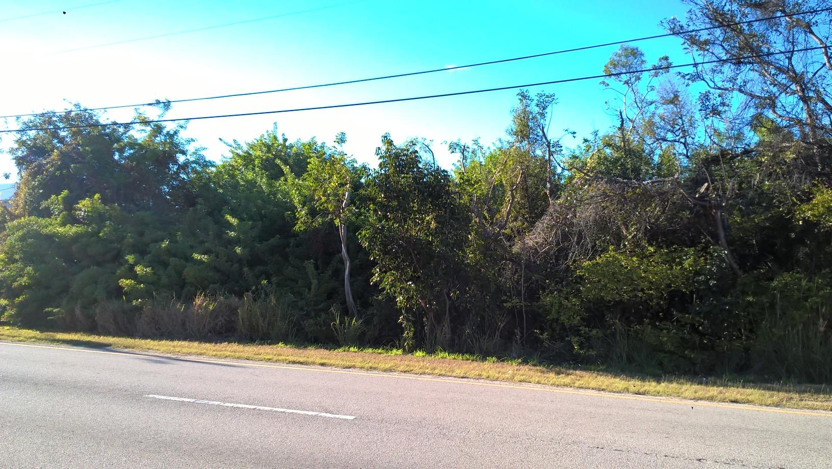 98 Overseas Hwy Key Key Largo, FL 33037 - Photo 5 of 6 a view of a yard with a tree