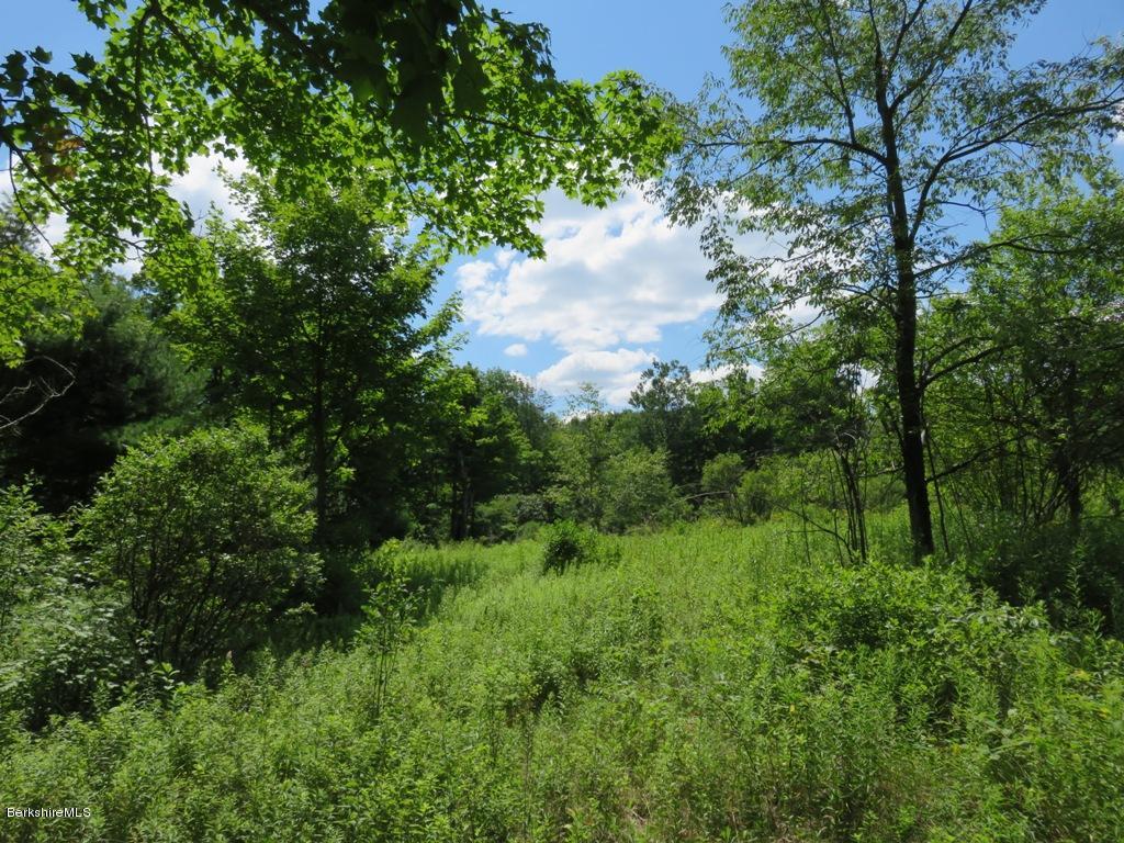 Corner West St And Stump Road Sandisfield, MA 01255 - Photo 2 of 5 a view of a lush green forest