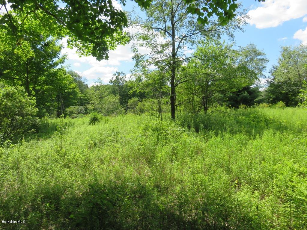Corner West St And Stump Road Sandisfield, MA 01255 - Photo 4 of 5 a view of a lush green forest