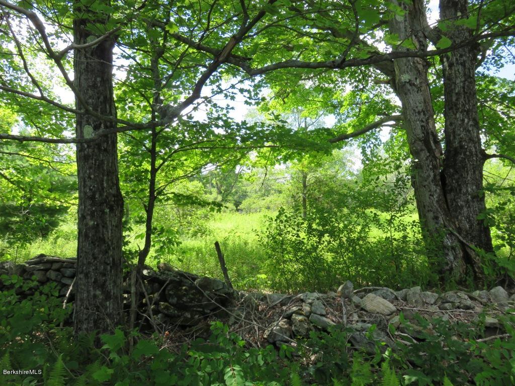 Corner West St And Stump Road Sandisfield, MA 01255 - Photo 5 of 5 a backyard of a house with lots of green space