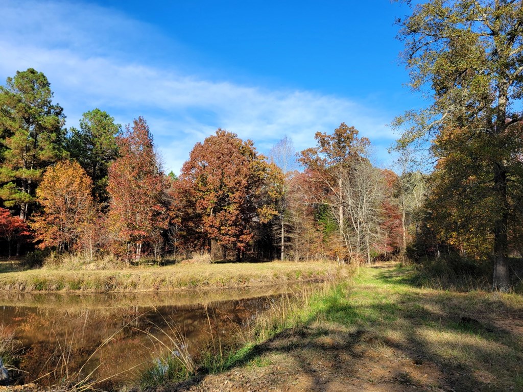 220 June Prince Road McCormick, SC 29835 - Photo 36 of 38