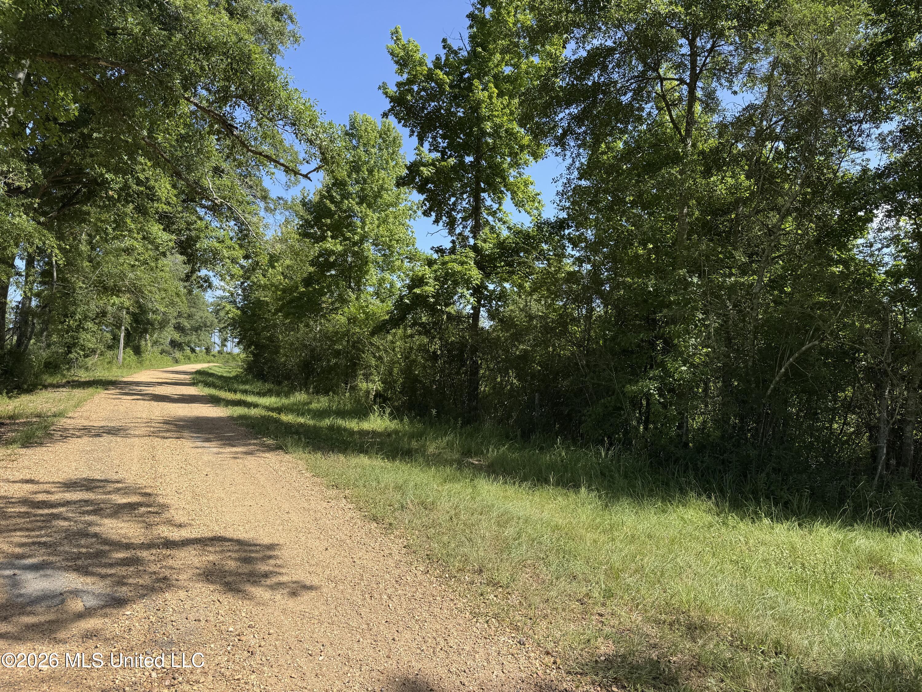 32 A Sauls Road Ruth, MS 39662 - Photo 13 of 22 Land-for-sale-Ruth-MS (12)