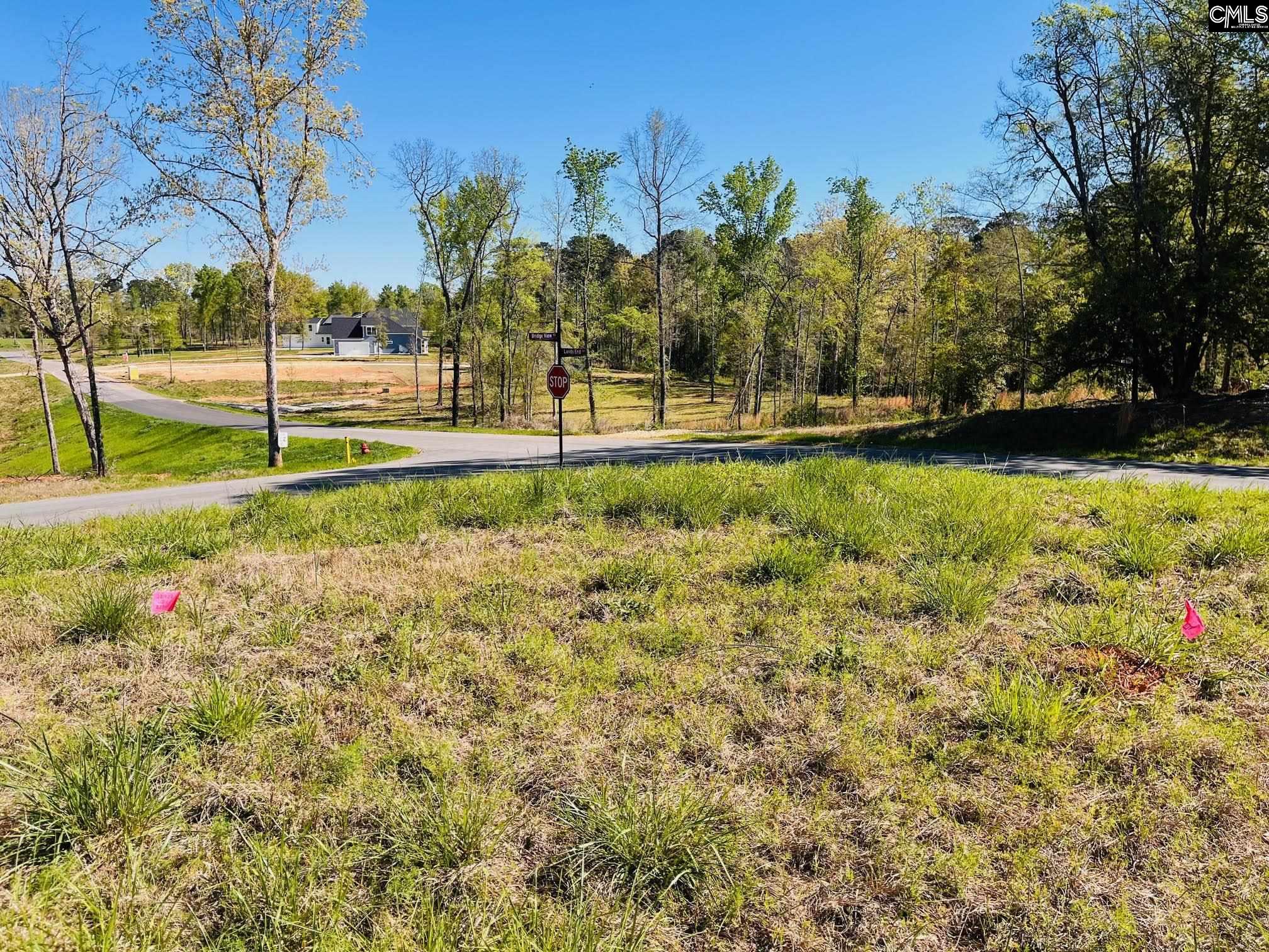 0 Lands End Lane Prosperity, SC 29127 - Photo 16 of 20