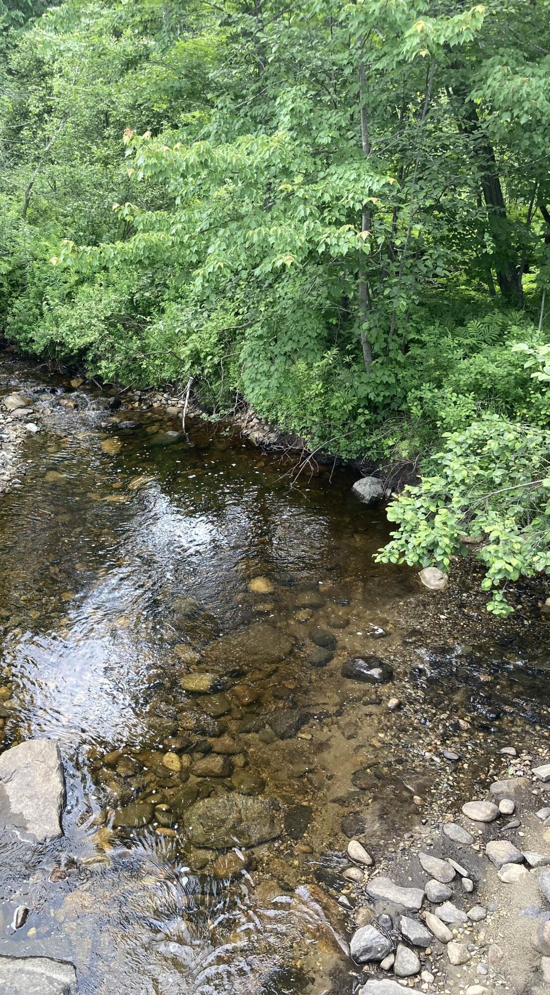 101 East Jay Road Jay, ME 04239 - Photo 6 of 11 James Brook
