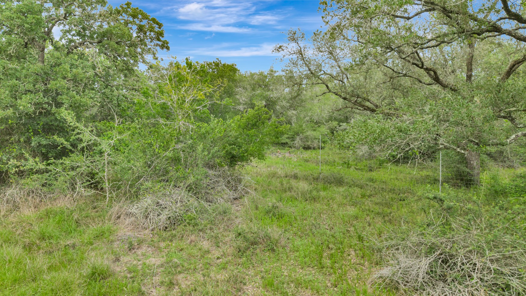 4600 Fm 1862 Road Palacios, TX 77465 - Photo 30 of 43