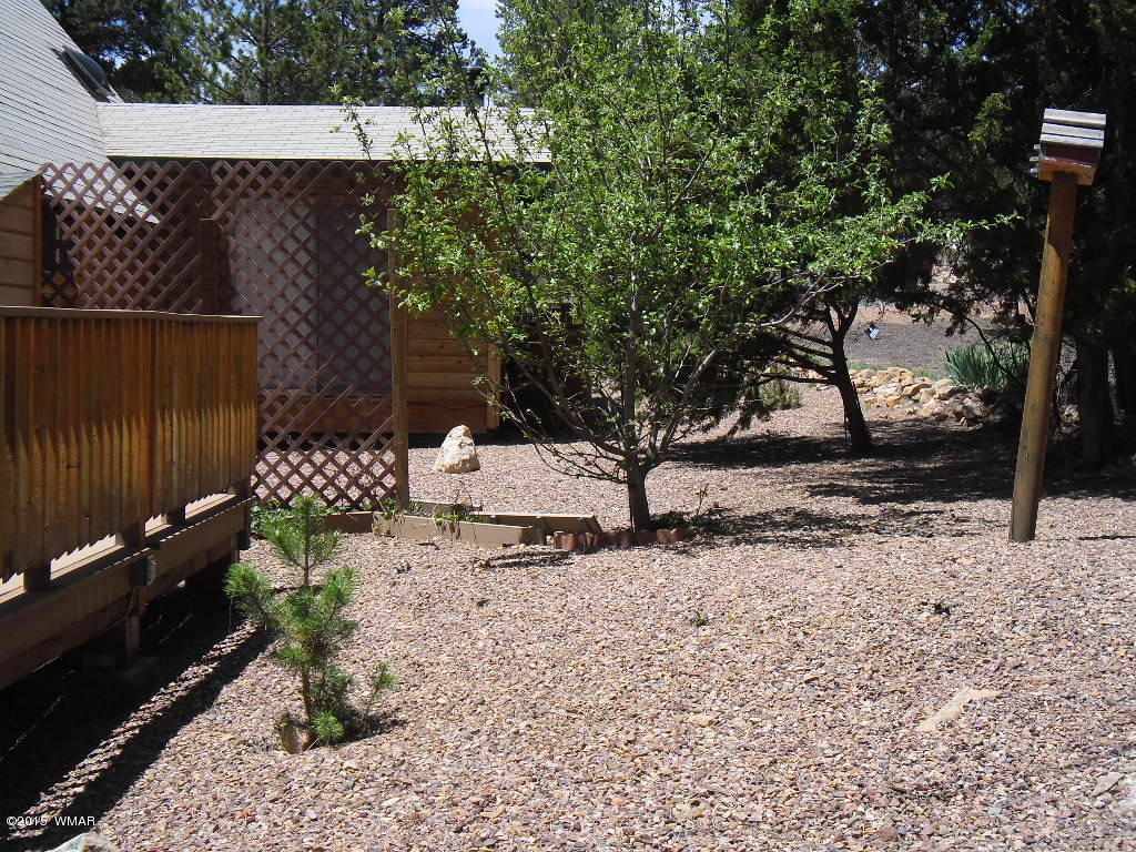 3463 Quail Run Road Overgaard, AZ 85933 - Photo 9 of 37 a view of a yard with yellow plants