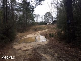 902 Anchor Lake Road Carriere, MS 39426 - Photo 2 of 2 IMG_8611