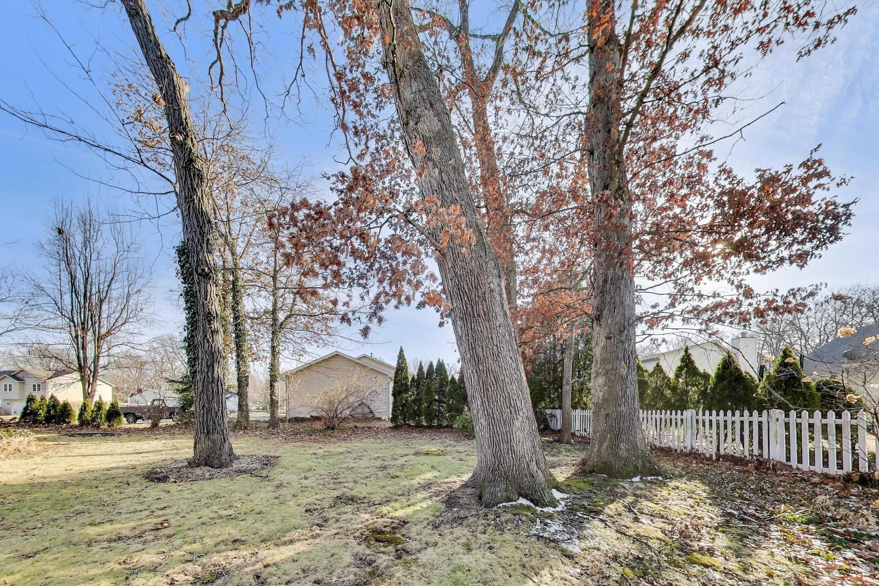 1642 Commodore Lane Chesterton, IN 46304 - Photo 31 of 34 a tree in the middle of a yard