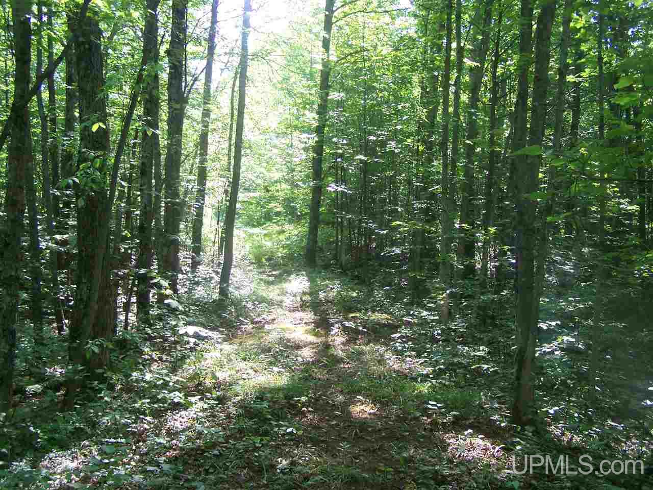 C-wi Park Road Hurley, WI 54534 - Photo 24 of 27