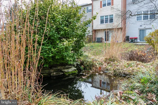 a view of a garden with plants