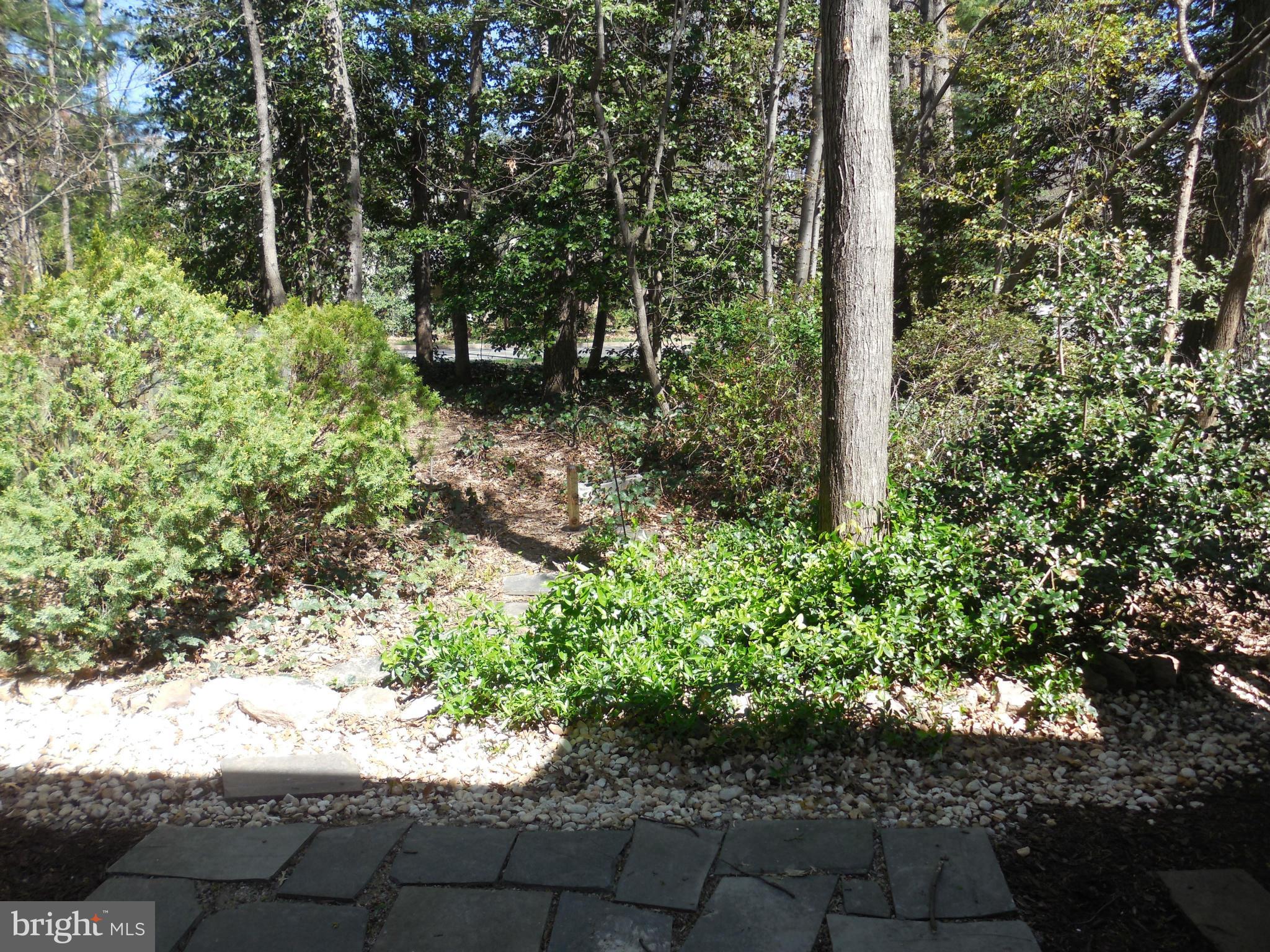 2006 Golf Course Drive Reston, VA 20191 - Photo 16 of 16 Exterior (Rear)